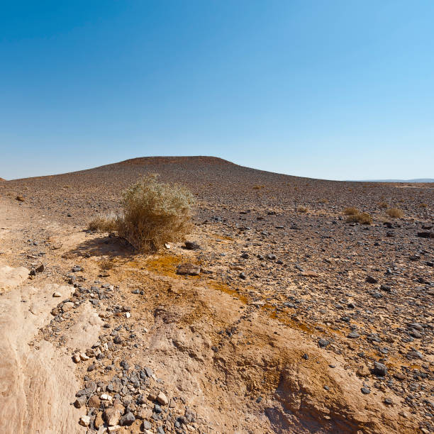 istock Nature of the Middle East. 983793798