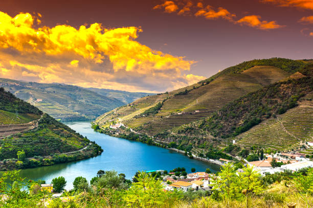 River Douro region at sunrise Travel in River Douro region in Portugal among vineyards and olive groves. Viticulture in the Portuguese villages at sunrise portugal stock pictures, royalty-free photos & images