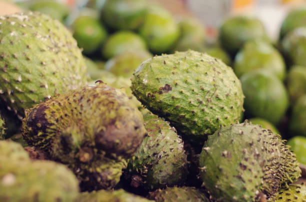 istock soursop display for sell in market.selective focus shot 983797352