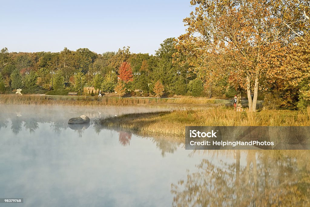 Autumn color  Morton Arboretum Stock Photo