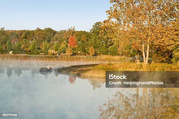 Autumn Color Stock Photo - Download Image Now - Morton Arboretum, Arboretum, Autumn