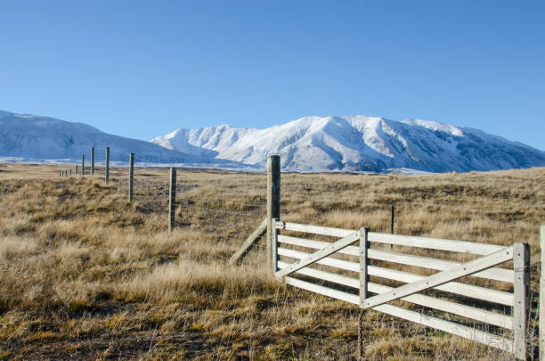 A winter landscape of high country farm in the MAckenzie basin. Lake Tekapo. NZ