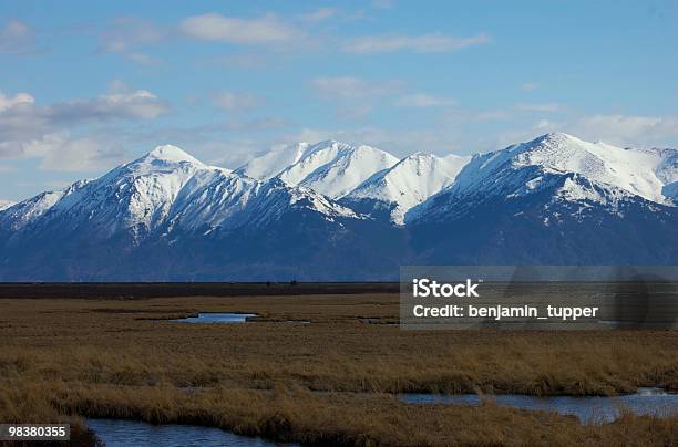 Chucagh Gamma Di Potters Marsh - Fotografie stock e altre immagini di Alaska - Stato USA - Alaska - Stato USA, Alaska centro-meridionale, Canna palustre