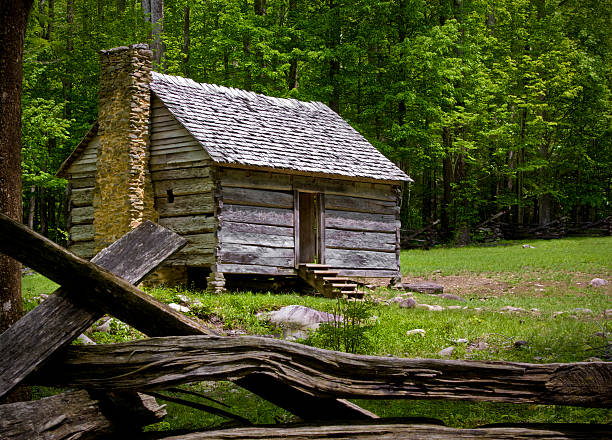 Landscapes of the Carpathian Mountains with rural villages, evergreen forests, wooden structures, wildflowers, and foggy hills. Nature and countryside in different seasons and light.