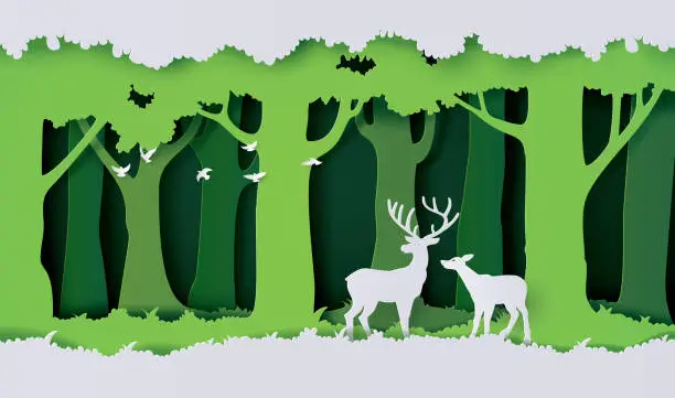 Vector illustration of deers in the forest.