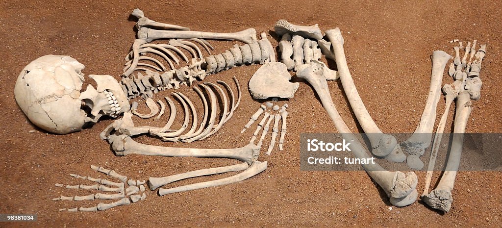 Prähistorischer Mensch - Lizenzfrei Archäologie Stock-Foto