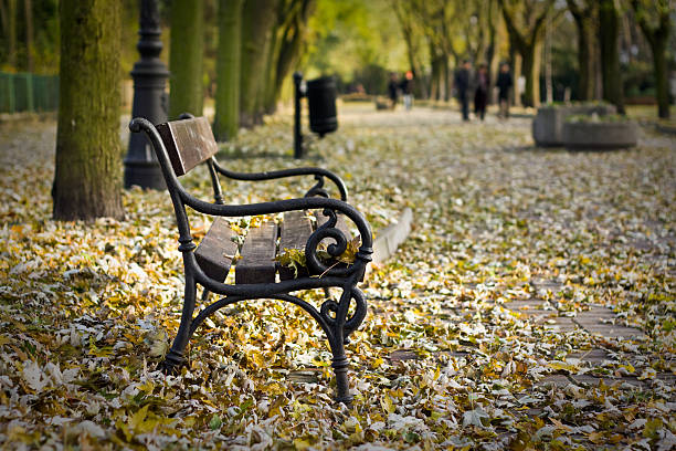 Lonely bench in a park stock photo