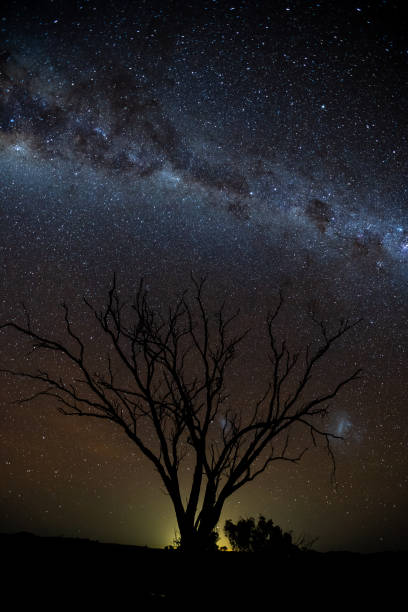 istock A tree silhouetted against the brilliant milky way stars night sky 983865262