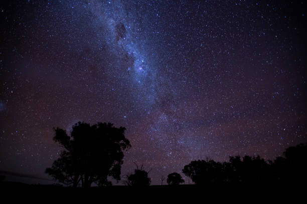 istock A tree silhouetted against the brilliant milky way stars night sky 983865486