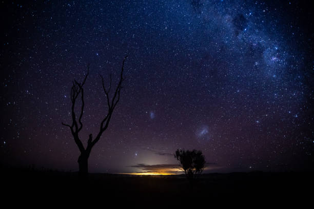 A tree silhouetted against the brilliant milky way stars night sky stock photo
