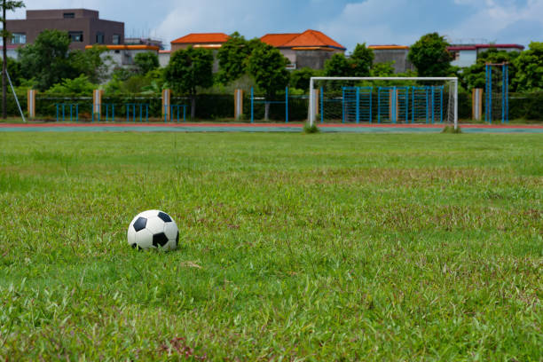istock soccer ball and goal of a grass soccer field 983876708