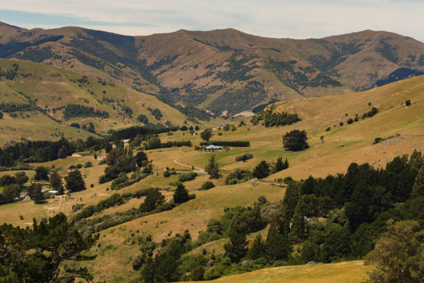istock Farmland green filed with mountain background 983886404