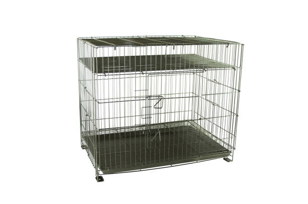 istock Pet Cages made from steel and cages can fold able on isolated white background 983901582