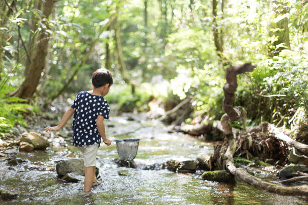 川で魚を取って少年。 - 子ども　いたずら ストックフォトと画像