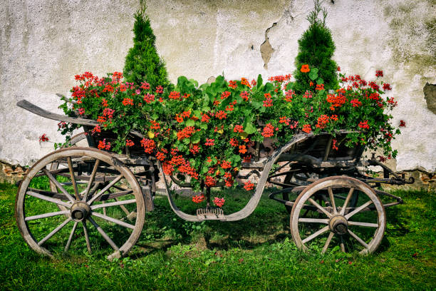 Old riding chaise converted into a flowerbed