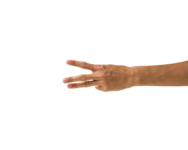 istock Clipping path hand gestures isolated on white background. Hand making number three sign or symbol gesture. Back hand gesture. 983935090