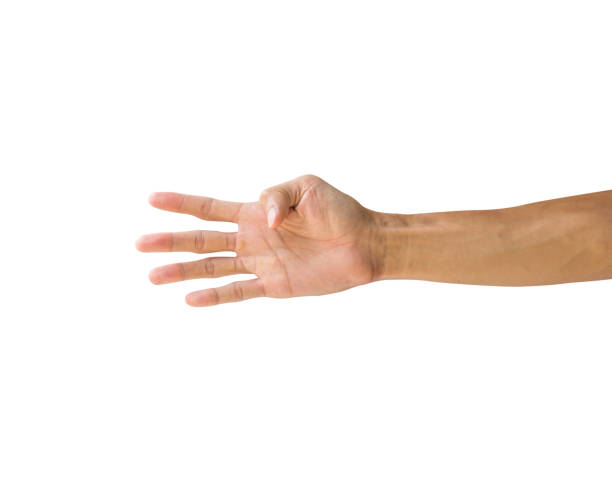 istock Clipping path hand gestures isolated on white background. Hand making number four sign or symbol gesture. Front hand gesture. 983935094