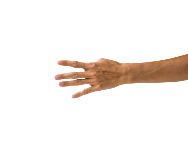 istock Clipping path hand gestures isolated on white background. Hand making number five sign or symbol gesture. Back hand gesture. 983935096