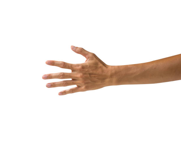 istock Clipping path hand gestures isolated on white background. Hand making number five sign or symbol gesture. Back hand gesture. 983935104