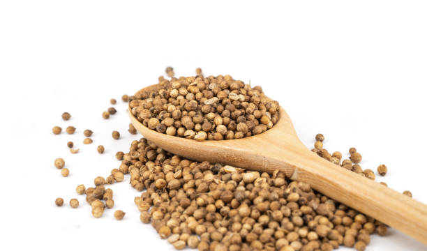 istock Pile of coriander seeds. 983935118