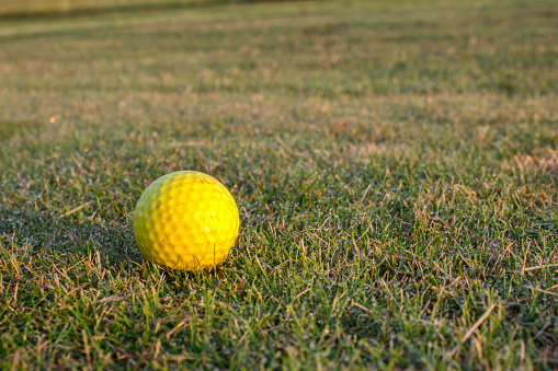 Deatil of golf ball on golf grass course