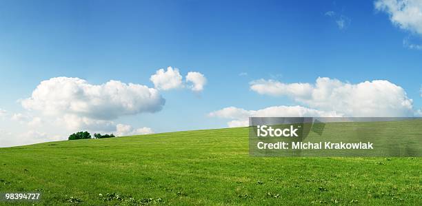 Meadow - Fotografie stock e altre immagini di Agricoltura - Agricoltura, Ambientazione esterna, Ambientazione tranquilla