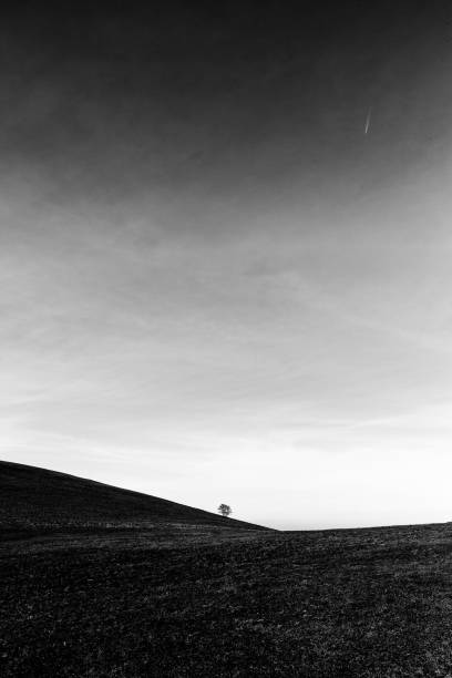istock A distant, lonely tree on a bare hill, beneath a big sky with white clouds 983952484