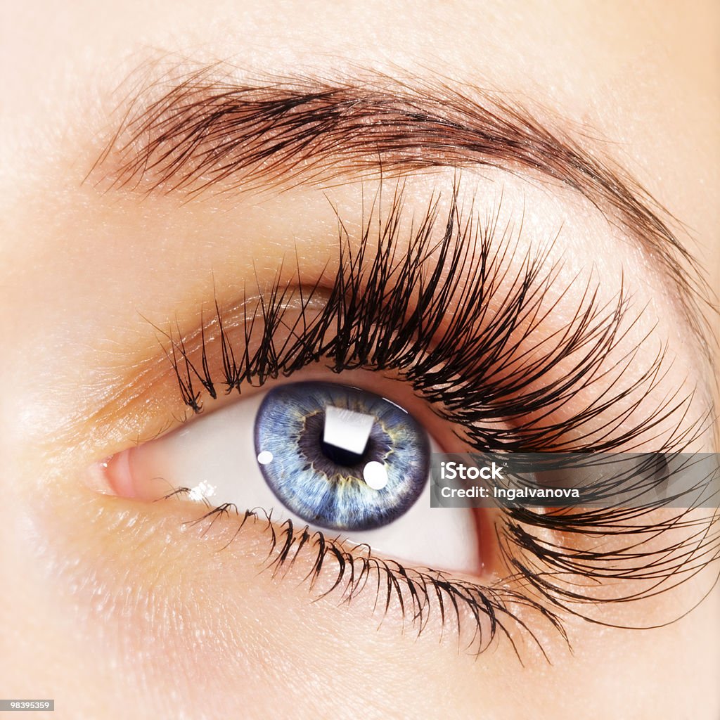 Woman eye  Adult Stock Photo