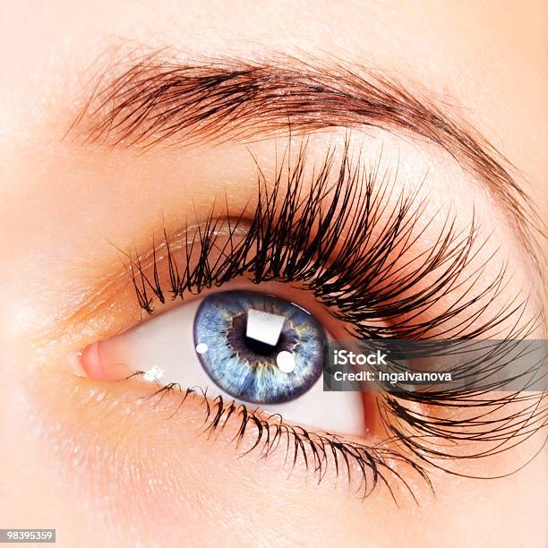 Woman Eye Stock Photo - Download Image Now - Adult, Beautiful People, Beautiful Woman