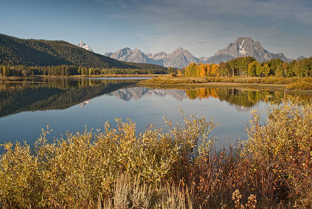 Tetons and Fall Colors Reflected in the Snake River The Snake River flows quietly through the Jackson Hole Valley. In many places the water is so calm and glassy that a perfect reflection of the Teton Range is often seen. This picture of the Tetons and fall foliage was taken from Oxbow Bend, a very popular place for photographers. Oxbow Bend is in Grand Teton National Park near Jackson, Wyoming, USA. jeff goulden grand teton national park stock pictures, royalty-free photos & images