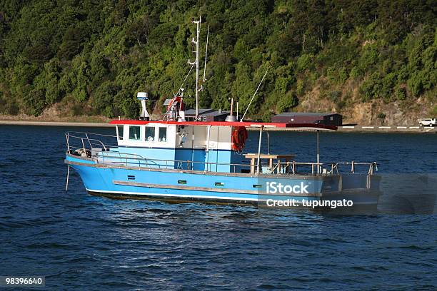 Fishing Ship Stock Photo - Download Image Now - New Zealand, Trawler, Australasia