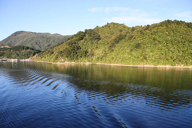 marlborough sounds - queen charlotte sound imagens e fotografias de stock