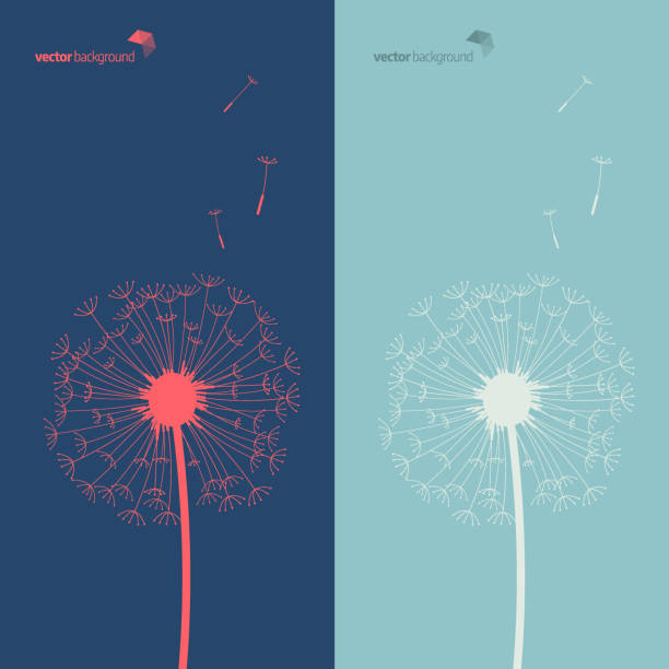 파란과 녹색 배경에서 민들레의 실루엣 - dandelion nature flower abstract stock illustrations