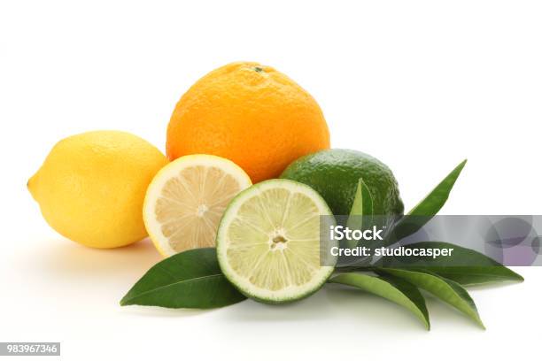 Set Of Citrus Fruit With Leaves On White Background Stock Photo - Download Image Now