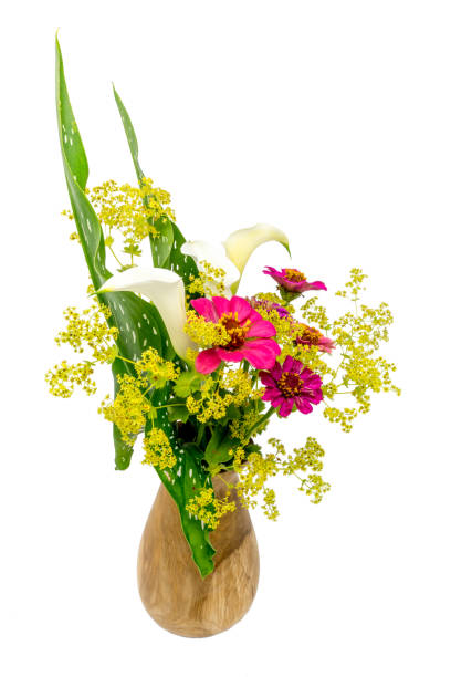 blumenstrauss aus zinnie und frauenmantel freigestellt auf weiß カラ - wearing flowers ストックフォトと画像