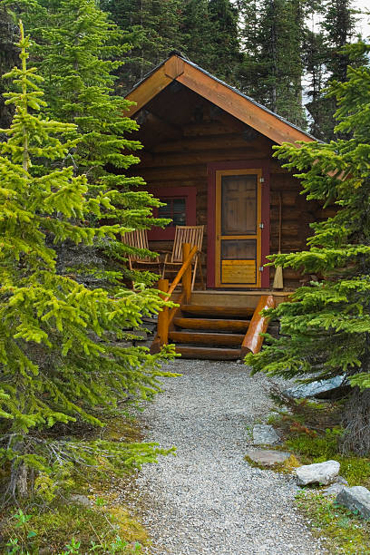 istock Log Cabin Hidden In The Forest 98397309