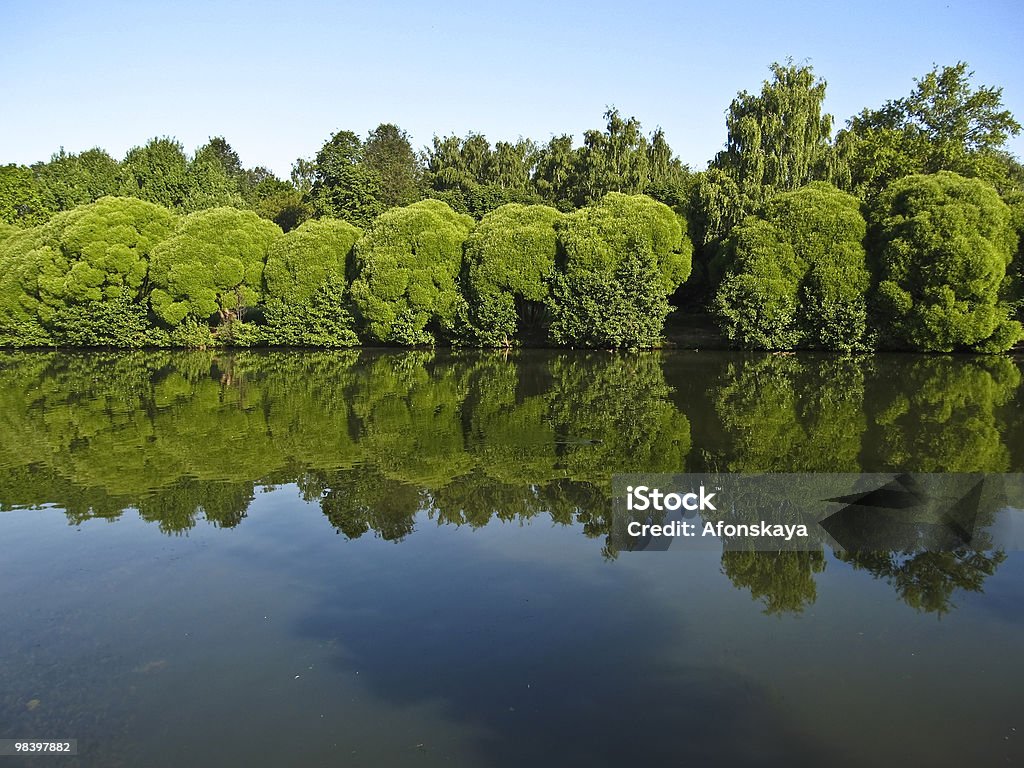 Willows and lake  Color Image Stock Photo
