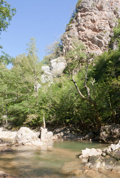 istock Rock of the Guam gorge is forested. 983979754