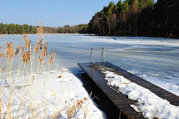istock Jetty in the lake at spring time 98398175