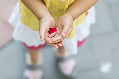 Child's hand is holding a bright flower