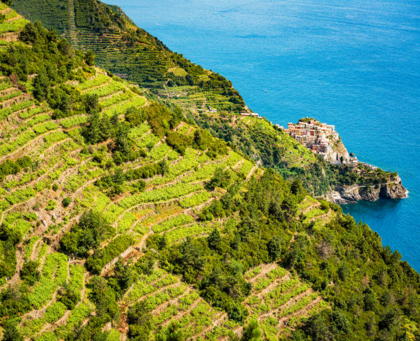 istock Beautiful view of Manarola 984012254