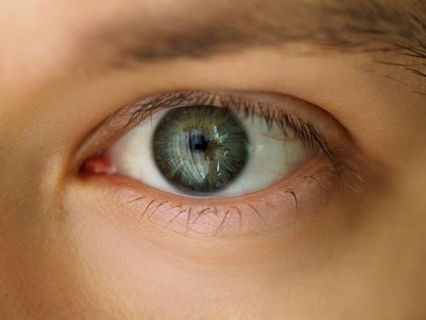 istock Male left emerald green coloured eye 984018974