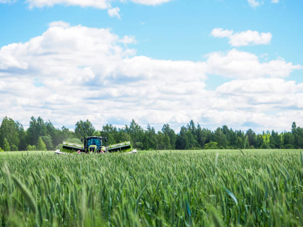 istock Agricultural machines cleaning for silage, harvesting combine 984023838