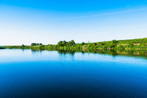 Bright summer nature panorama, forest trees and river with reflection in water, abstract vivid tranquil and relax background