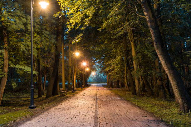 istock Pedastrian pavement and bicycle path in a park at dusk. 984039112