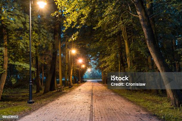 Pedastrian Pavement And Bicycle Path In A Park At Dusk Stock Photo - Download Image Now
