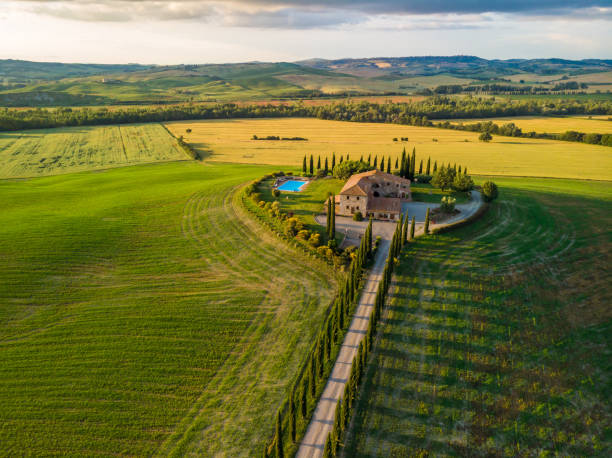 paysage magnifique paysage de la toscane en vue aérienne italie - cyprès le long de la route blanche - - près de pienza, toscane, italie - tuscan cypress photos et images de collection