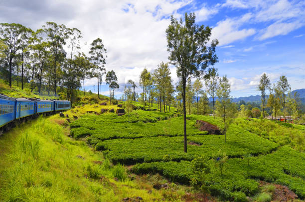 Landscape between Kandy and Ella Landscape seen from the train between Kandy and Ella in Sri Lanka. ella sri lanka stock pictures, royalty-free photos & images