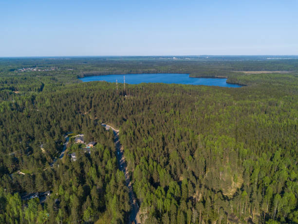 istock Aerial view of a forest lake 984051000