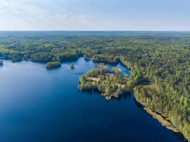 istock Aerial view of a forest lake 984053390